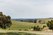 Granite Hills Vineyard