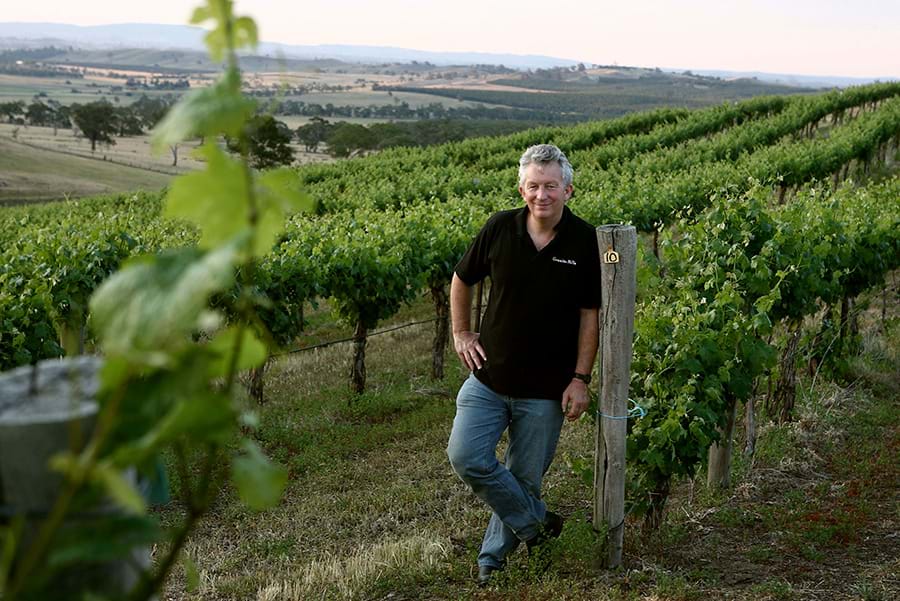 Granite Hills Vineyard