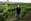 Granite Hills Vineyard