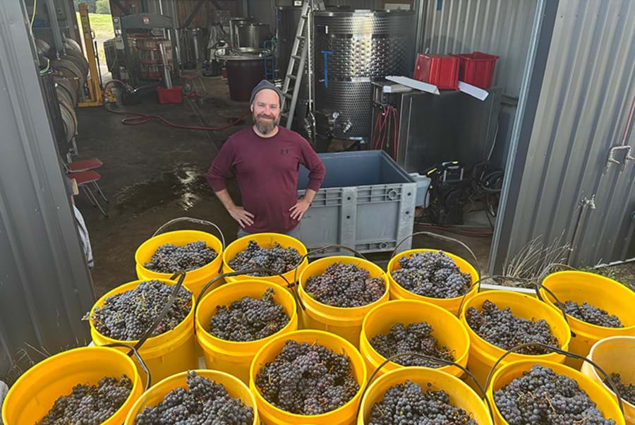 Merth Vineyard