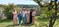 Midhill Vineyard