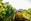 Shadowfax Wines